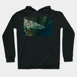 Leopard Shark Hoodie